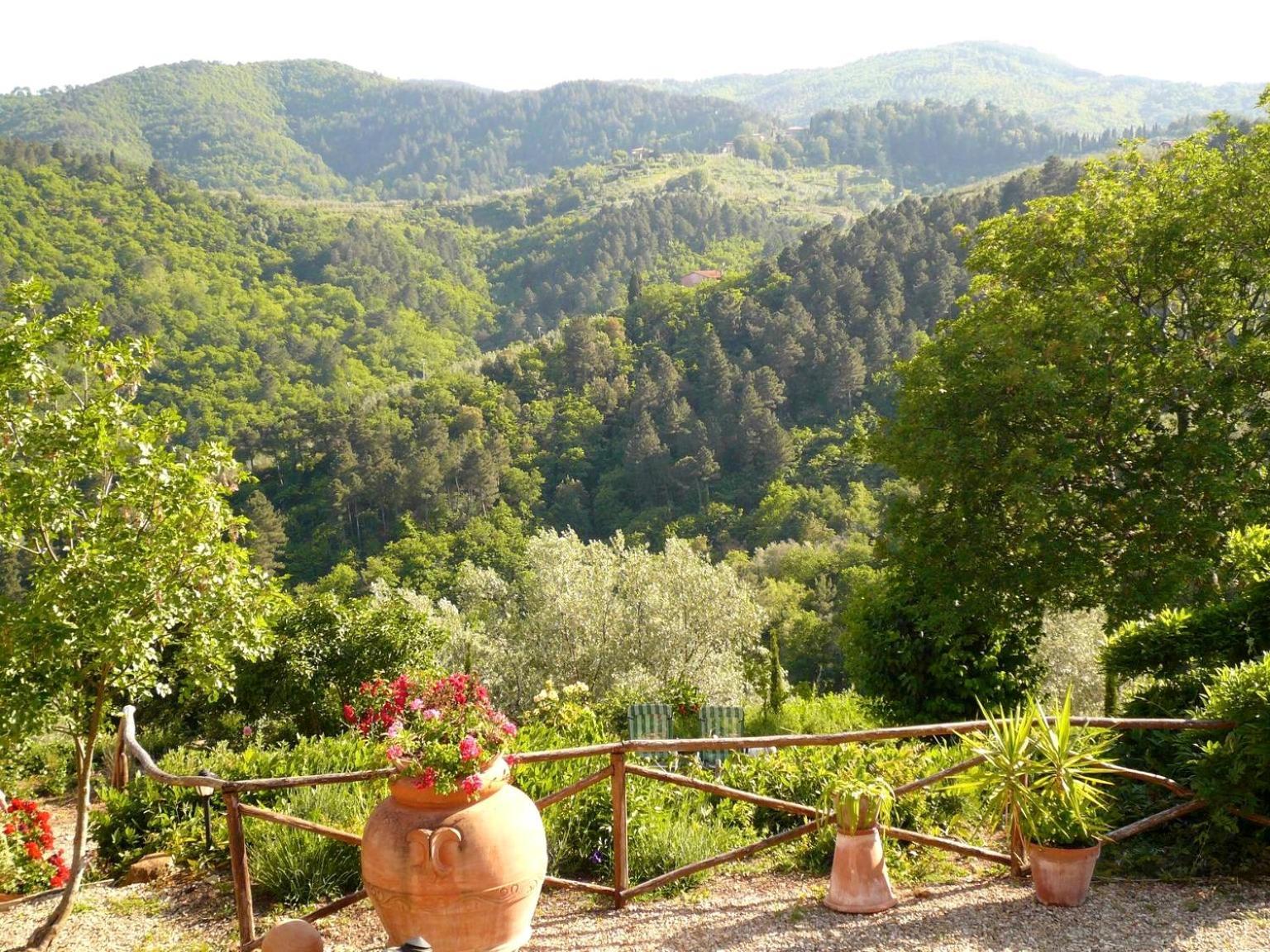 Ventena Vecchia Antico Frantoio Montevarchi Extérieur photo