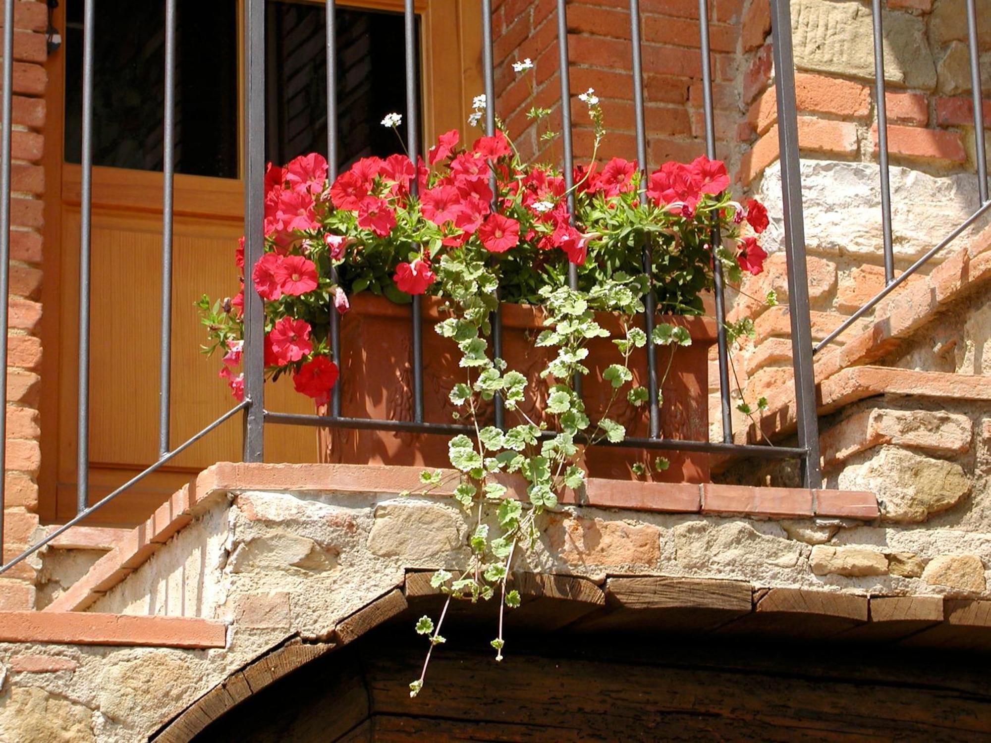 Ventena Vecchia Antico Frantoio Montevarchi Extérieur photo