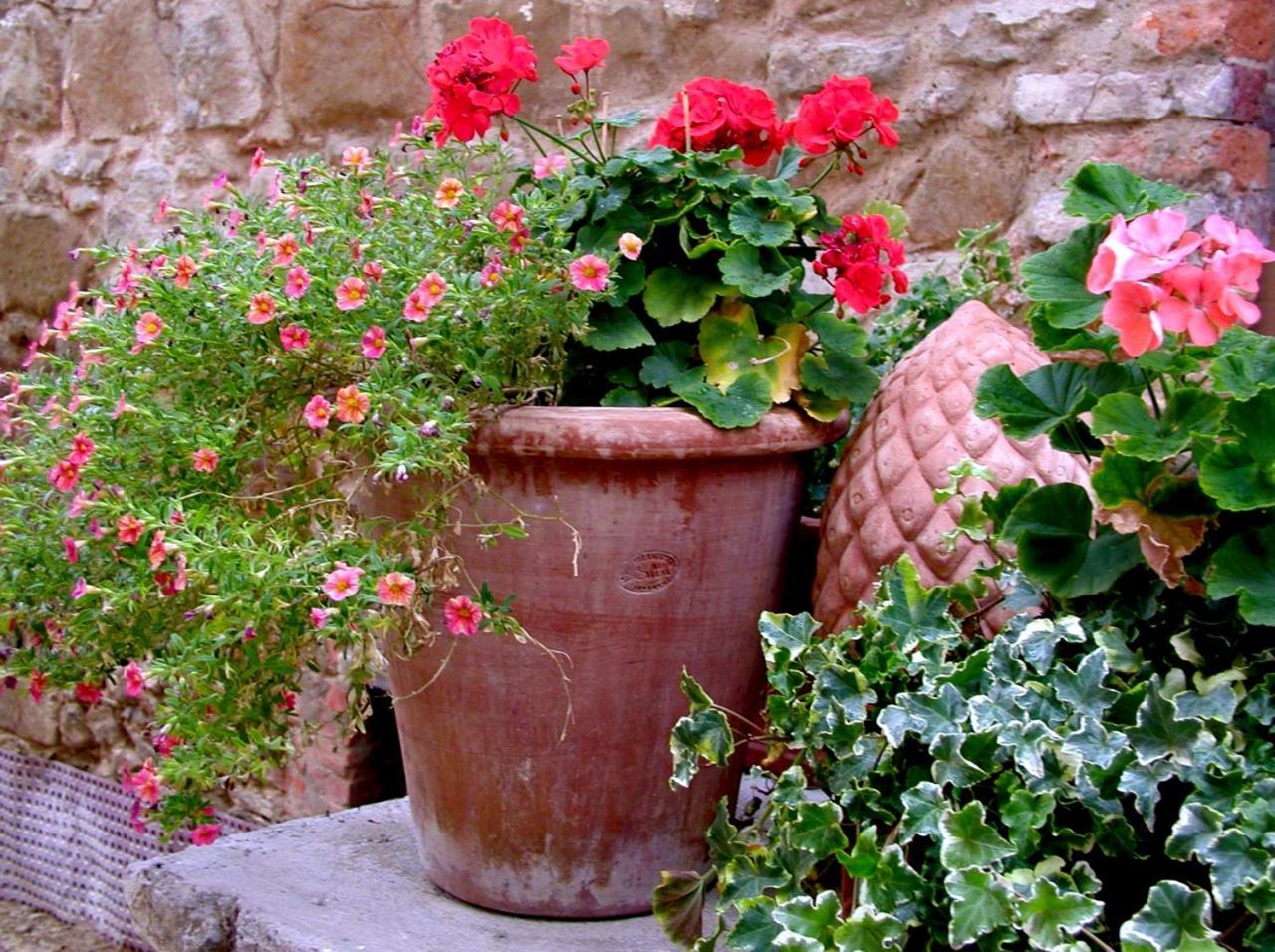Ventena Vecchia Antico Frantoio Montevarchi Extérieur photo