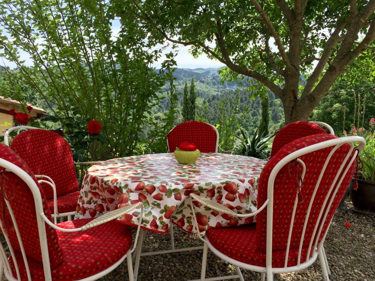 Ventena Vecchia Antico Frantoio Montevarchi Extérieur photo